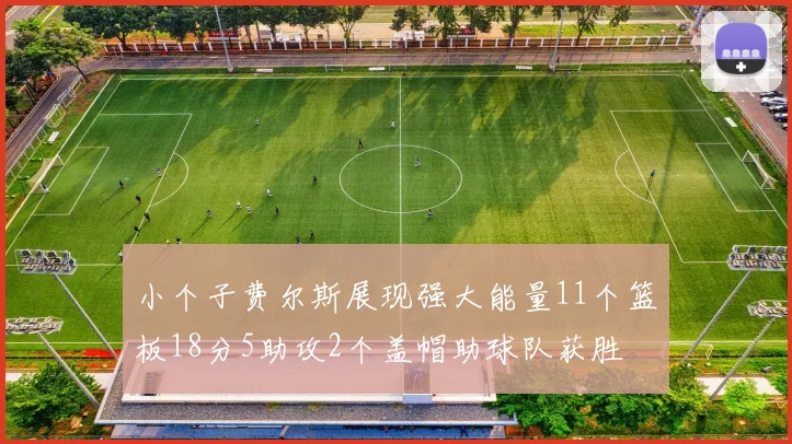 小个子费尔斯展现强大能量11个篮板18分5助攻2个盖帽助球队获胜