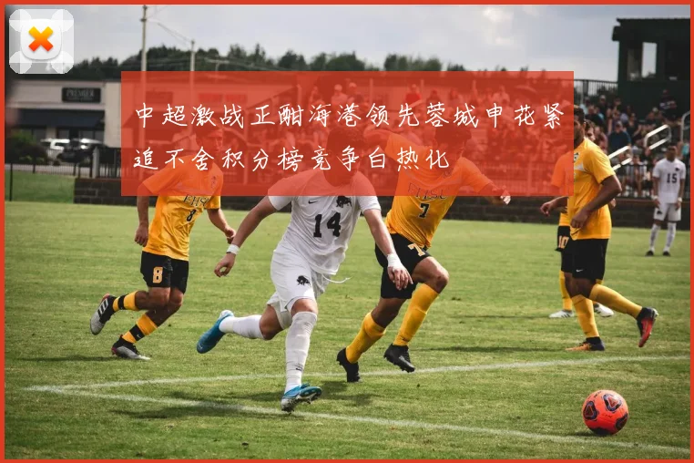 中超激战正酣海港领先蓉城申花紧追不舍积分榜竞争白热化